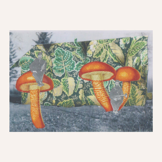 'Cabin in the Woods' Postcard