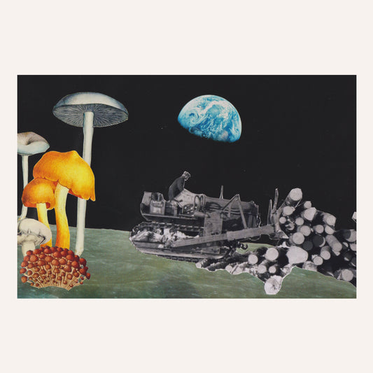 'Moon Harvest' Postcard