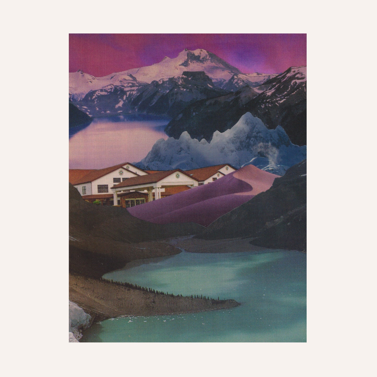 'Purple Haze' Postcard